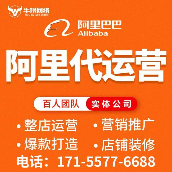 林芝电商代运营