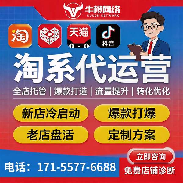 林芝电商代运营