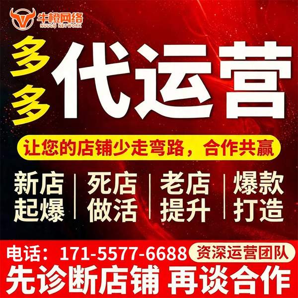 林芝电商代运营