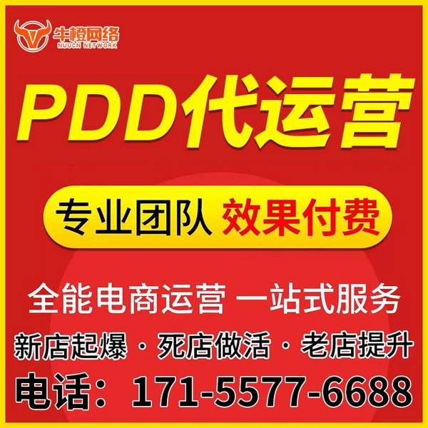林芝电商代运营
