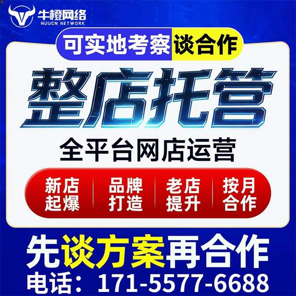 林芝电商代运营