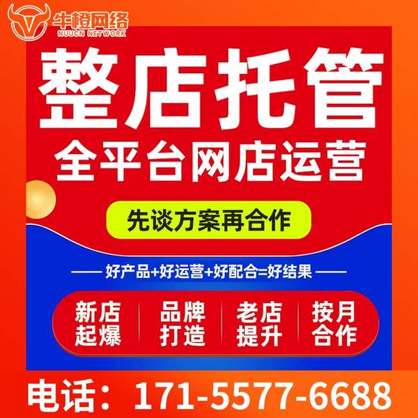 林芝电商代运营