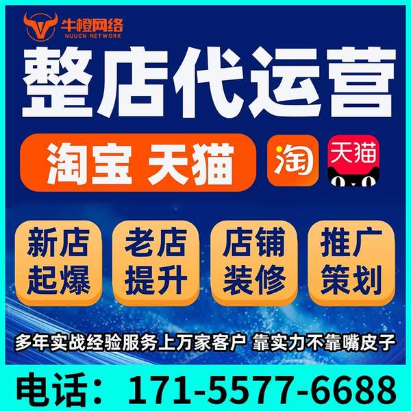 林芝电商代运营