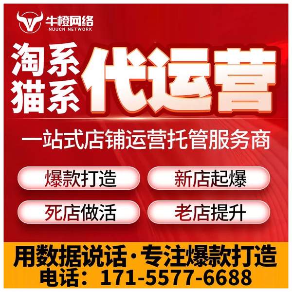 林芝电商代运营